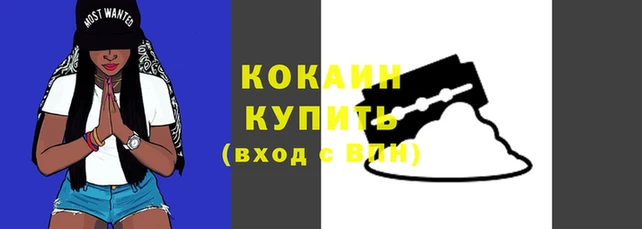 a pvp Кодинск