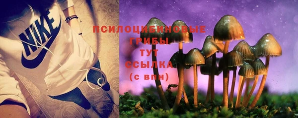 бутират Козельск