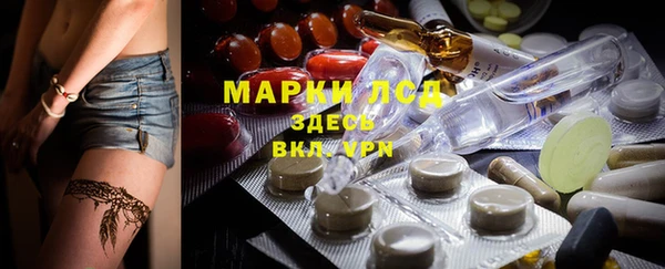 a pvp Кодинск
