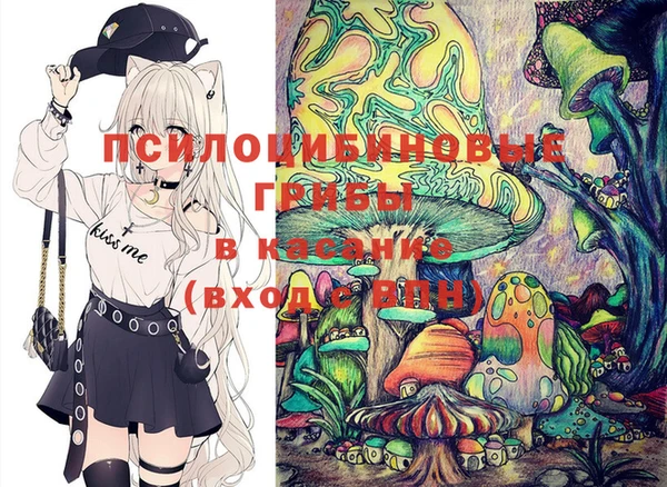 твердый Апатиты